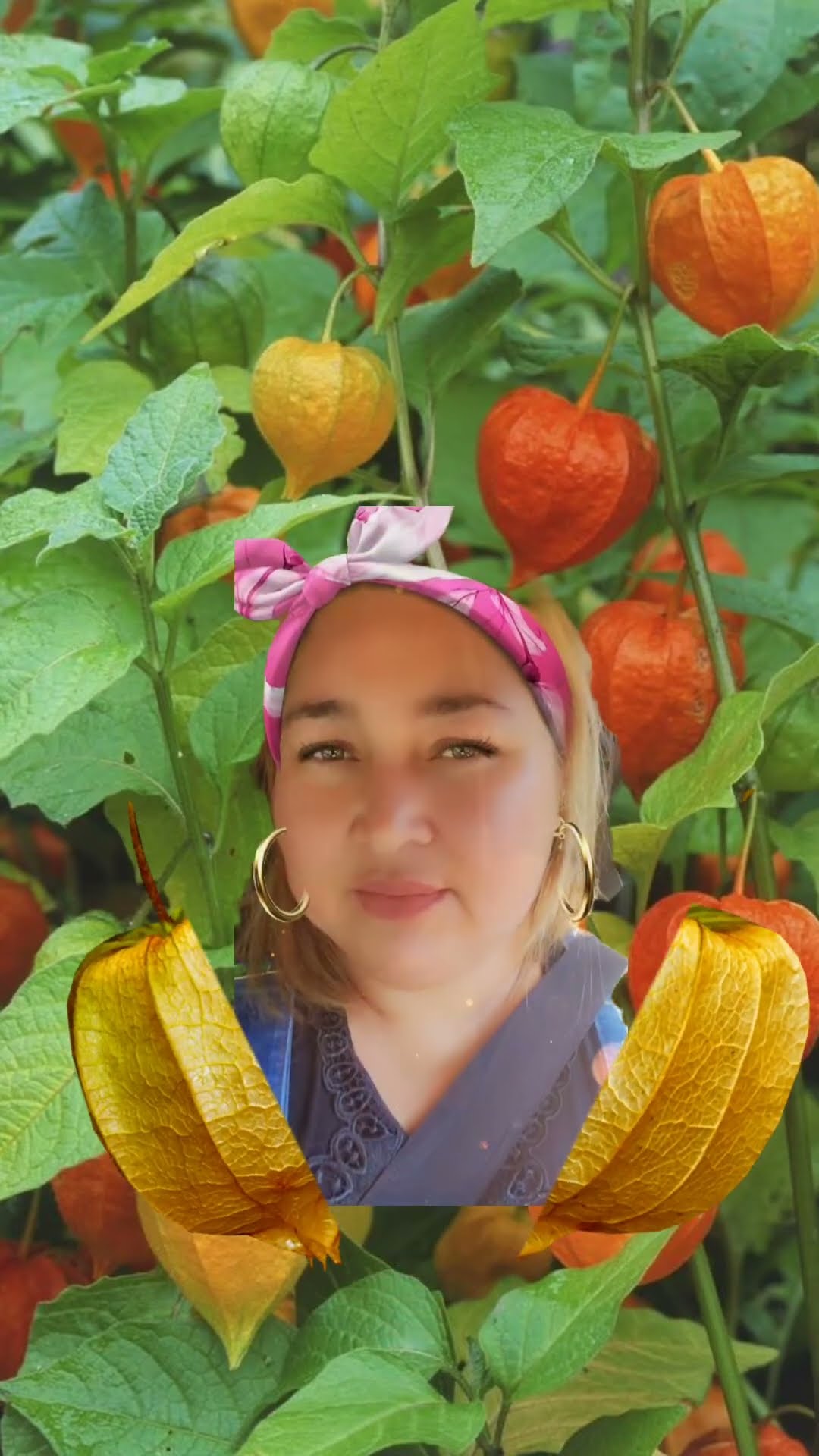 #physalis #short #viral #lucu - YouTube