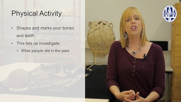 4.1 Activity: Introduction