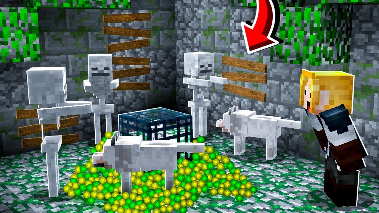 MELHOR FARM de XP para INICIANTE!! - Forever Mapa 3 #35