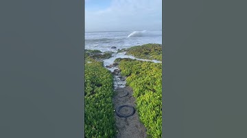 Storm Surges On California Coast                                     #shorts