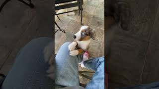 IMG 4974