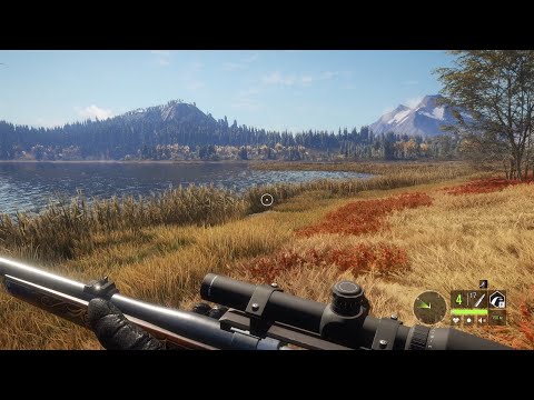 видео: Какой хороший день...ну а когда было по другому?~TheHunter Call of the Wild