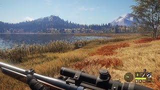 Какой хороший день...ну а когда было по другому?~TheHunter Call of the Wild