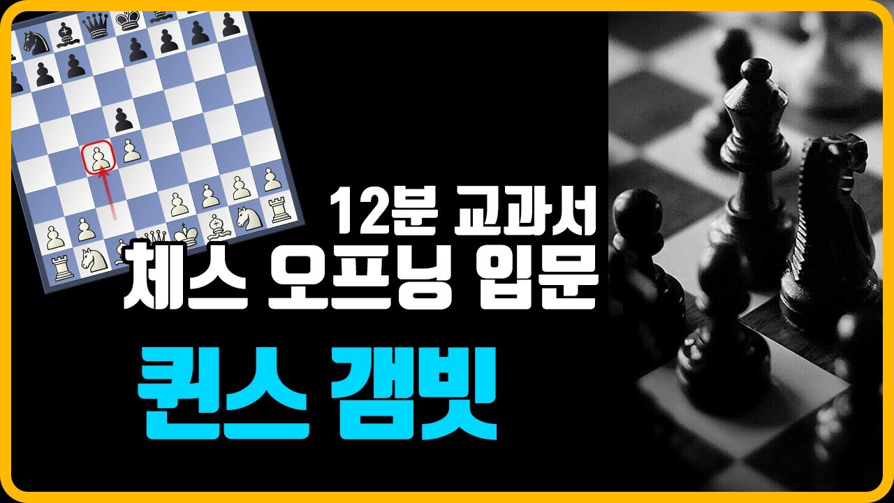 [체스오프닝 입문] 12분 교과서, 퀸스갬빗 Queen's Gambit