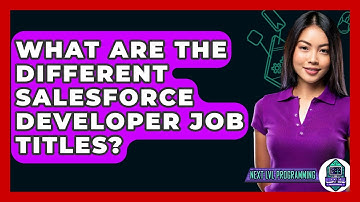 What Are The Different Salesforce Developer Job Titles? - Next LVL Programming