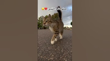 الحمد لله #الشيخ #القارىء  #حالات_واتس  #القران_الكريم #تلاوة_خاشعة #صلوا_علي_النبي #إسلام_صبحي