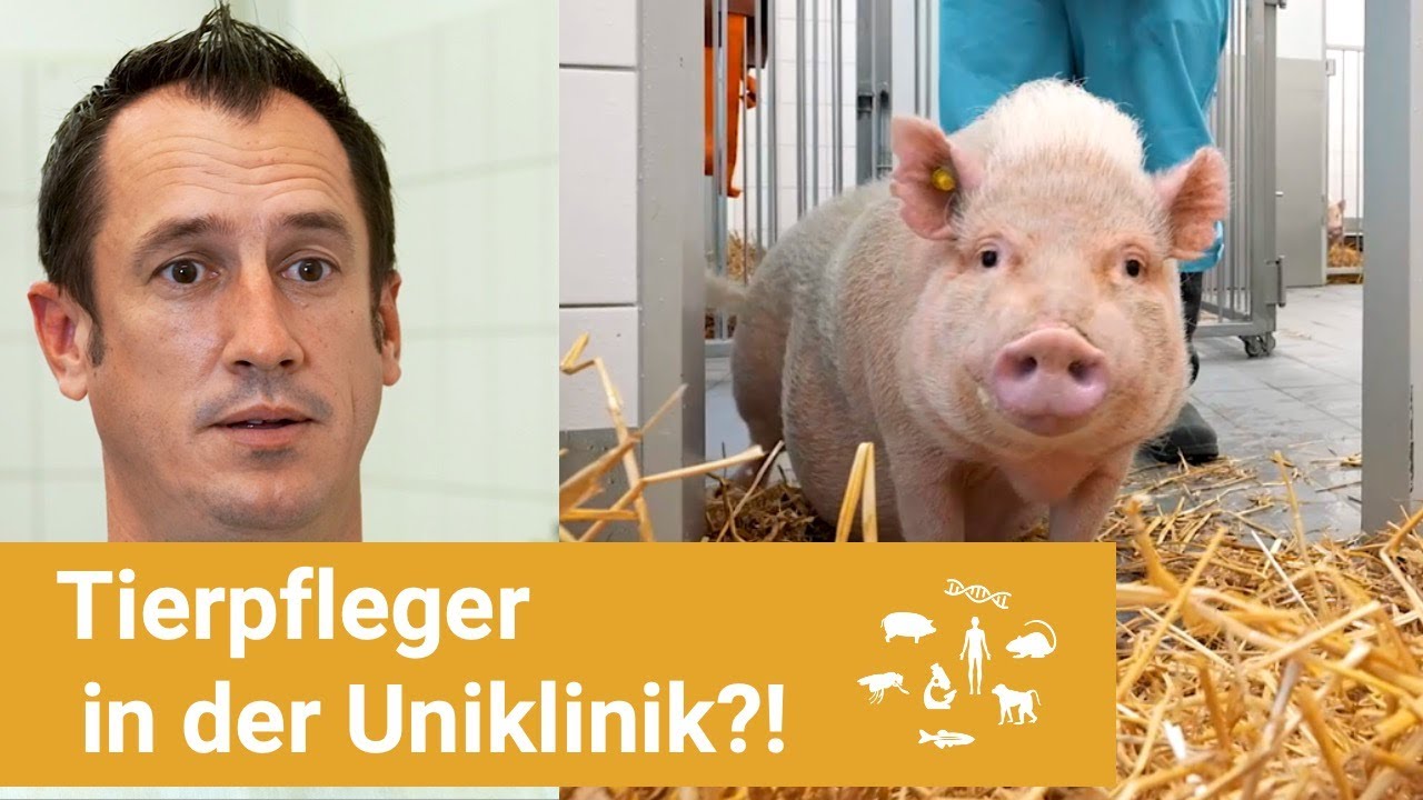 New DAS machen Tierpfleger an der Uni wirklich!