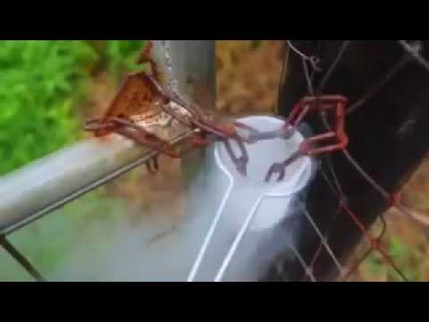 تأثير النيتروجين السائل على الحديد