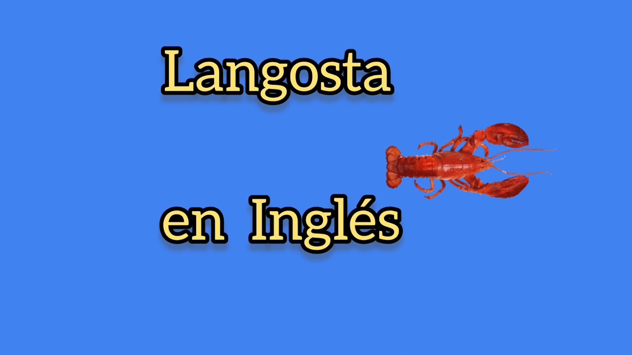 Cómo se dice langosta en Inglés? YouTube