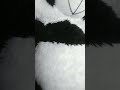 #ytshorts #nothing #fun #interesting #yt #shorts