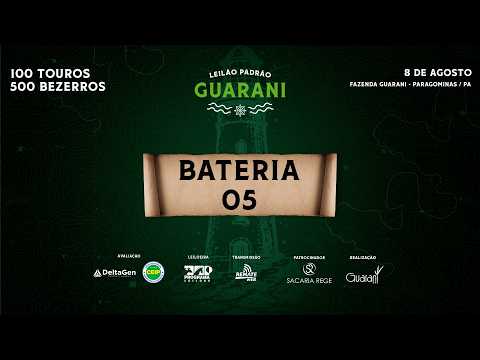 BATERIA 05