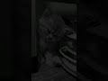 وقـتـك دا خـلاص بـقـا ضـايـع وقـتـك دا خـلاص بـقـا ضـايـع