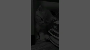 وقـتـك دا خـلاص بـقـا ضـايـع 