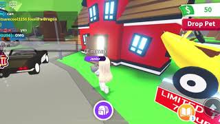 Making A Grey Cat Peeteen