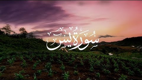 سورة يس تلاوة خاشعة للقارئ الشيخ محمد أسامة