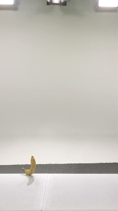 Baby Shark is a Banana 🍌 ?
