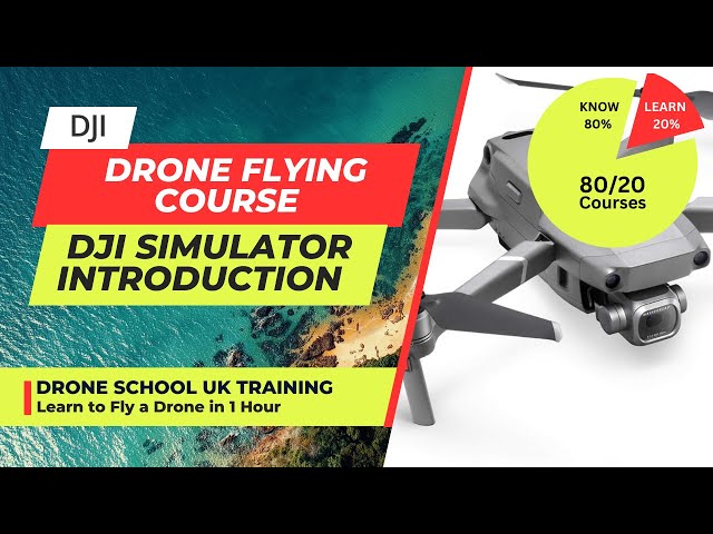 DJI's Virtual Flight app lets you practice flying your drone in VR