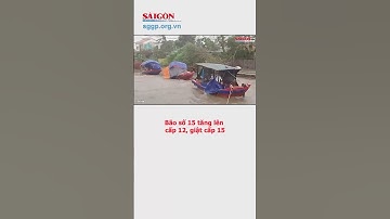Bão số 15 tăng lên cấp 12, giật cấp 15