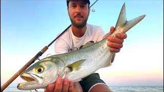 La GIORNATA GIUSTA! Pesce Serra a Spinning dalla Spiaggia con un'Esca INSOLITA e NON SOLO [Topwater] screenshot 3