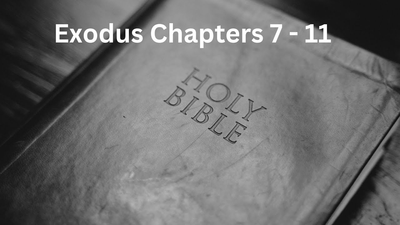 Exploring Exodus 7 11 A Reading Into The KJV Bible audiobible exodus exploring-exodus-7-11-a-reading-into-the-kjv-bible-audiobible-exodus