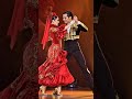 #17회🔥Paso Doble #Passionate #LatinDance #Couple #Performance #Pussycat 😻 #Dolls #PopMusic #Shorts🐂🕺💃