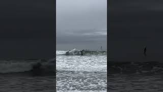 Surf in Ventura #surf #surfing