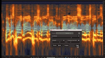 RX 5 Advanced Audio Editor Overview | The Professional