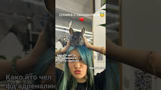 26 октября 2025 г.