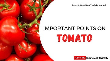 Important points on Tomato | JRF, SRF & other competitive exams | General Agriculture