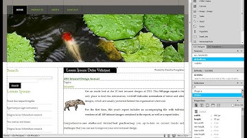 DreamWeaver Interface