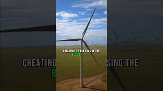 How Do Wind Turbines / Windmills Work?