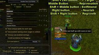 Mystery Project wow - How to Healbot.avi