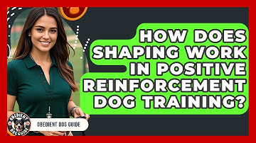 How Does Shaping Work In Positive Reinforcement Dog Training? - Obedient Dog Guide