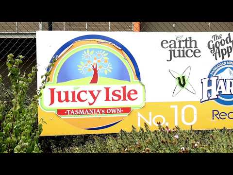 Juicy Isle squeezes great value from Toyota forklifts