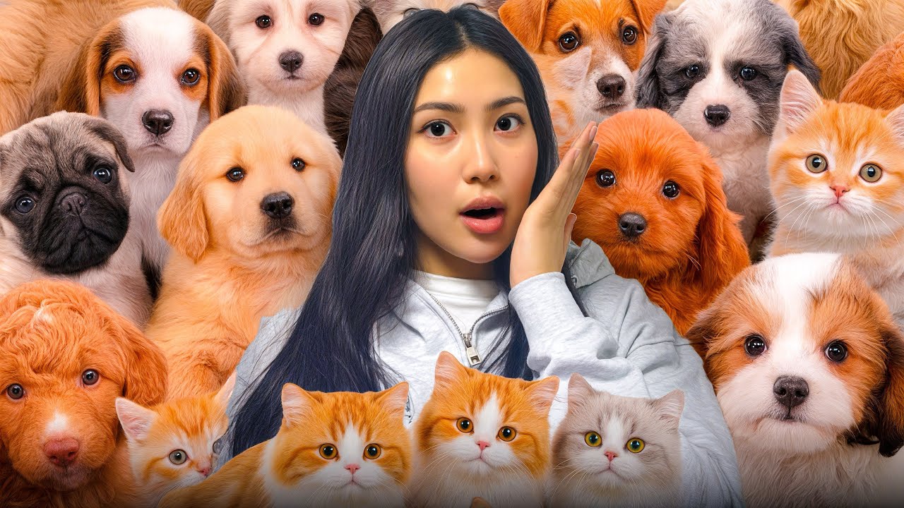 100 МЫСЫҚ пен 100 КҮШІК  АСЫРАП АЛДЫМ😱🐶😻