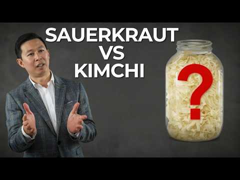 Kimchi Vs Sauerkraut Bacteria