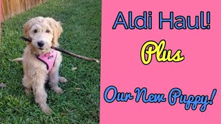 Aldi haul Plus our new puppy!