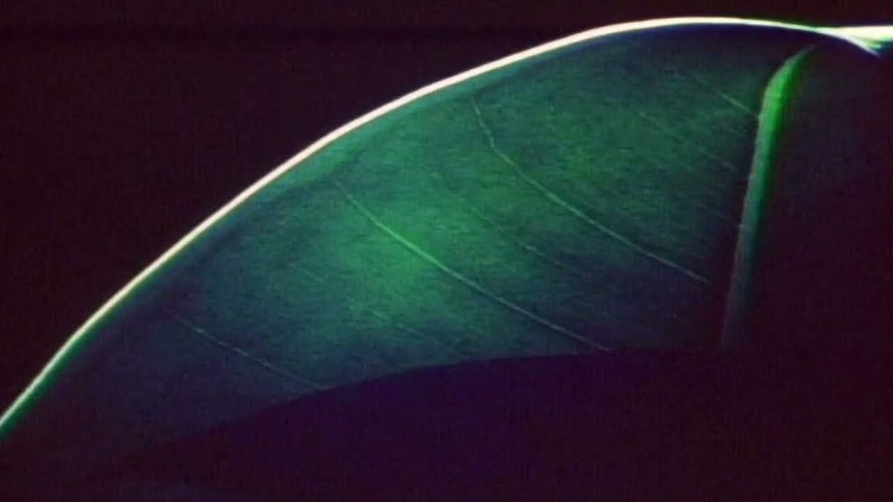 'AMNESIA' • STUDIES IN MINIMALISM FOR ENSEMBLE, ELECTRONICS & TAPE [2024] #minimalist