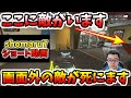 「APEX」ピースキーパードラッグ！敵さんころされた理由がわからない【翔丸/エーペックスレジェンズ】#shorts