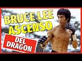 LOS MEJORES MOMENTOS DE BRUCE LEE (Biografía completa)