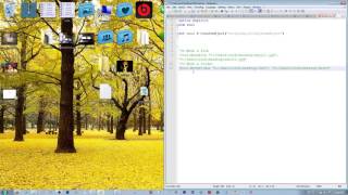 Celebrity Demonstration of How to Rename Files & Folders in VbScript Profile