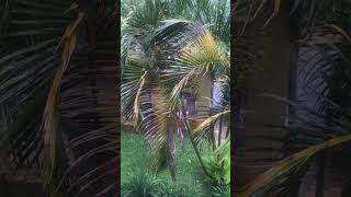 Beauty of Nature 🤗🤗🤗🤗