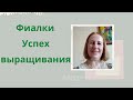 Фиалки. Ответы на вопросы.Успех выращивания.