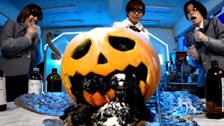 【真似禁止 】硫酸かけたら大変なことになりました・・・ハロウィン実験【GENKI LABO ACADEMY】Halloween Jack-O-Lanterns experiment