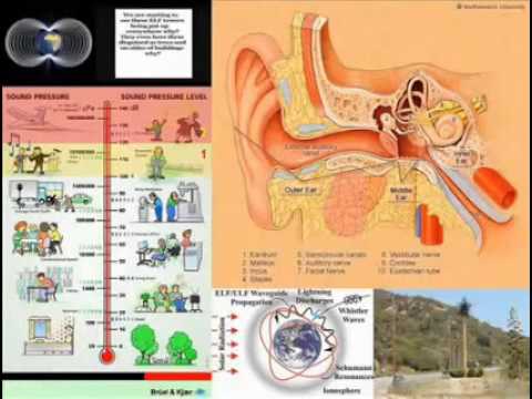 Elf-Mind-Control ... KNOW About ELF Waves, HAARP Capabilities & MIND CONTROL - YouTube