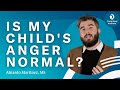 Is my childs anger normal  child mind institute