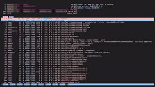How to use htop on your Linux VPS (see CPU, RAM, Uptime, Processes)