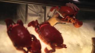 Full An Exploration with Grand Hyatt Singapore Update