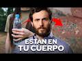 Esto es lo que el Microplástico le Hace a tus Testículos