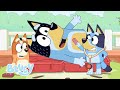 LIVE Every Bluey Game EVER 1 HOUR Bluey 